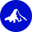Invesco Short Duration US Government Securities Fund